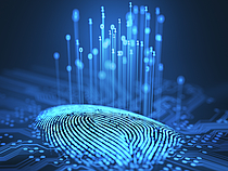 IT-Forensik/Cybercrime, B.Sc. Bachelorstudiengang IT-Forensik/Cybercrime an der Hochschule Mittweida